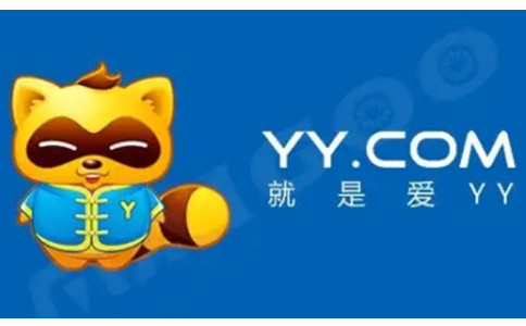 什么是yy号????,yy号是什么意思的缩写