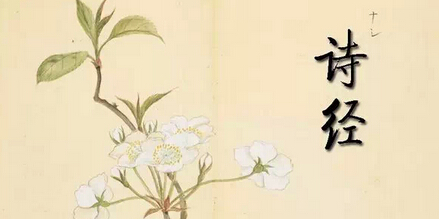 什么意思青青子衿,青青子衿的青什么意思