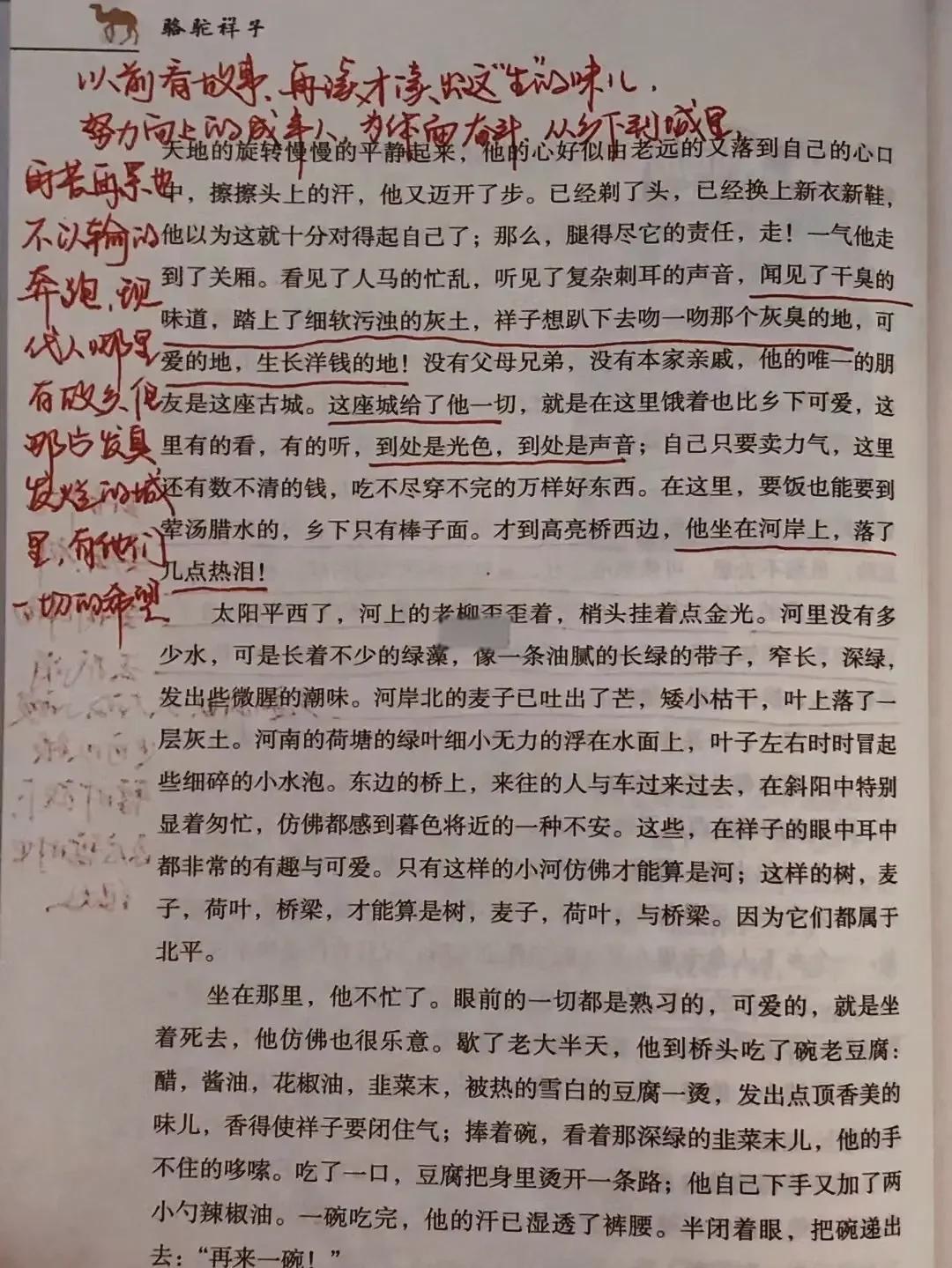 骆驼祥子感悟300字,骆驼祥子感悟100字大全30篇