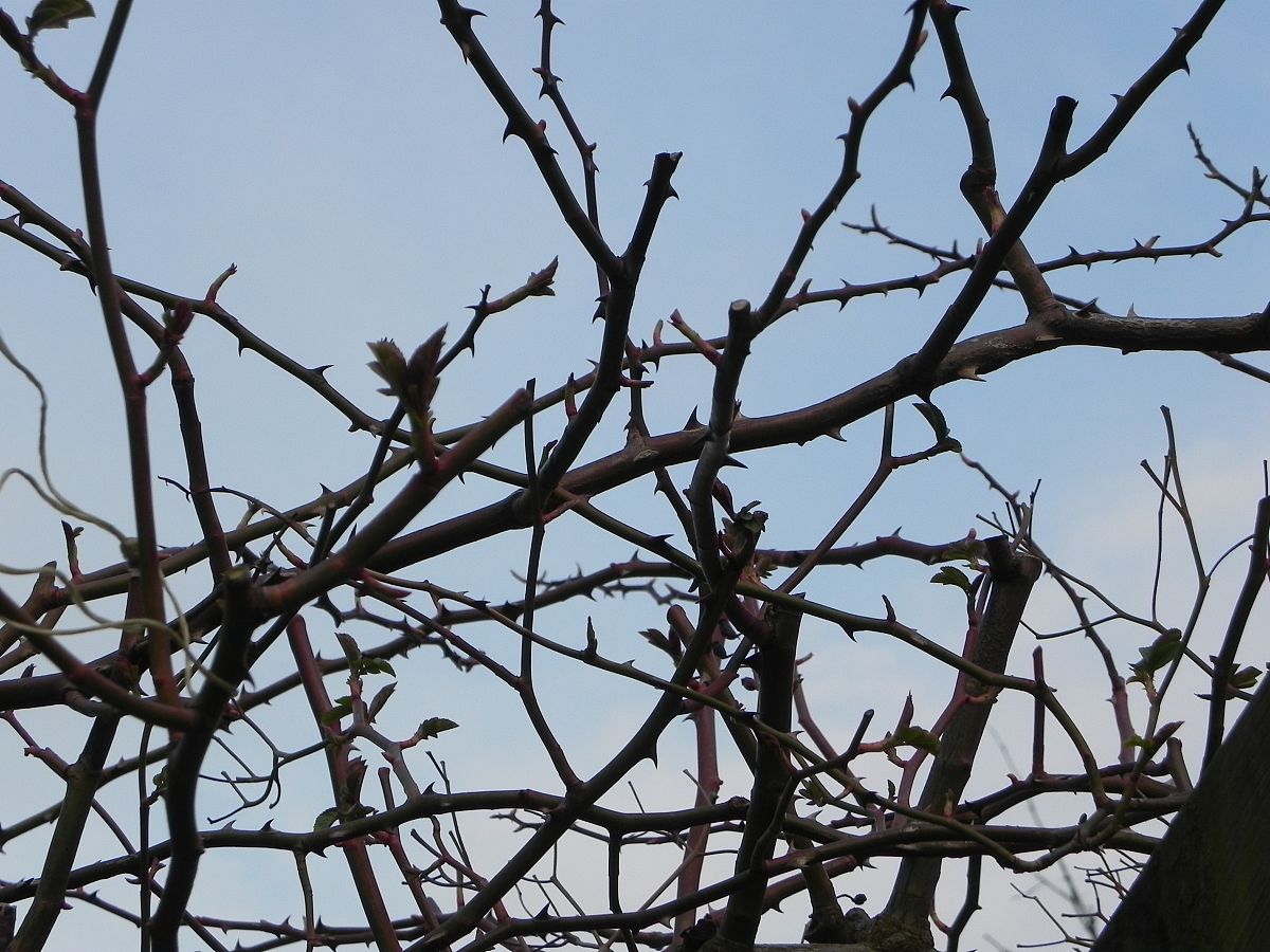 快科技下载 第38页