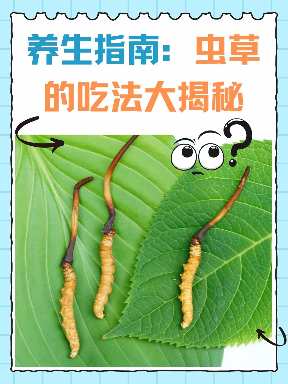 冬虫夏草怎么吃最好,冬虫夏草怎么吃最好效果最好