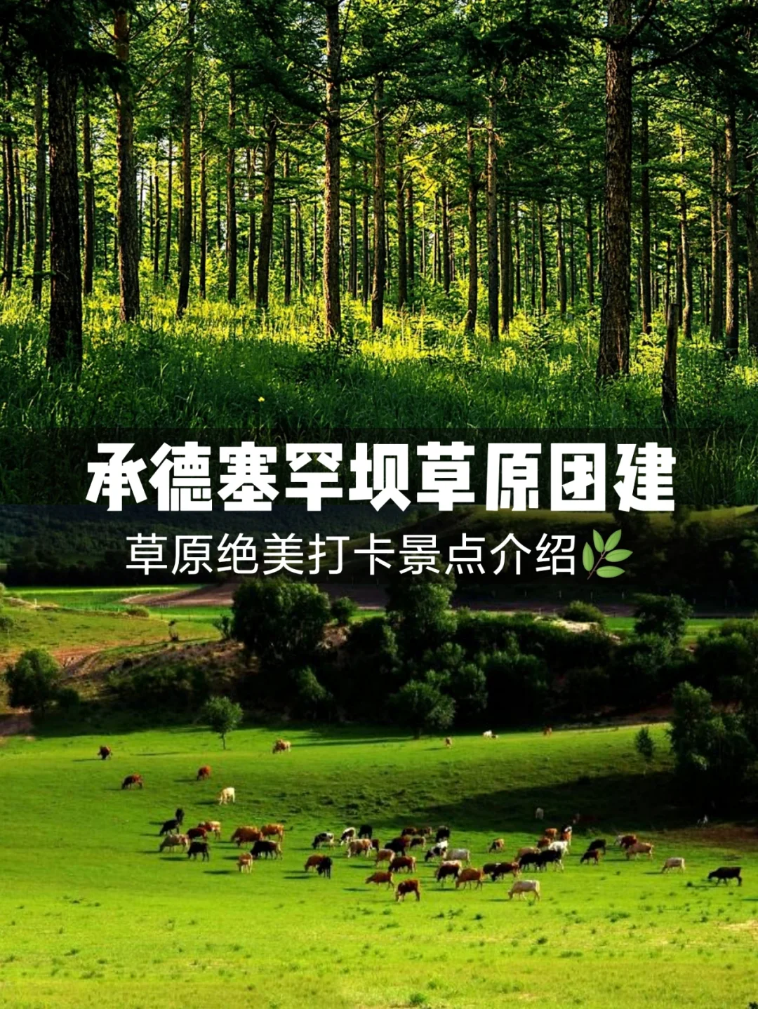 热河相关介绍,热河有什么含义