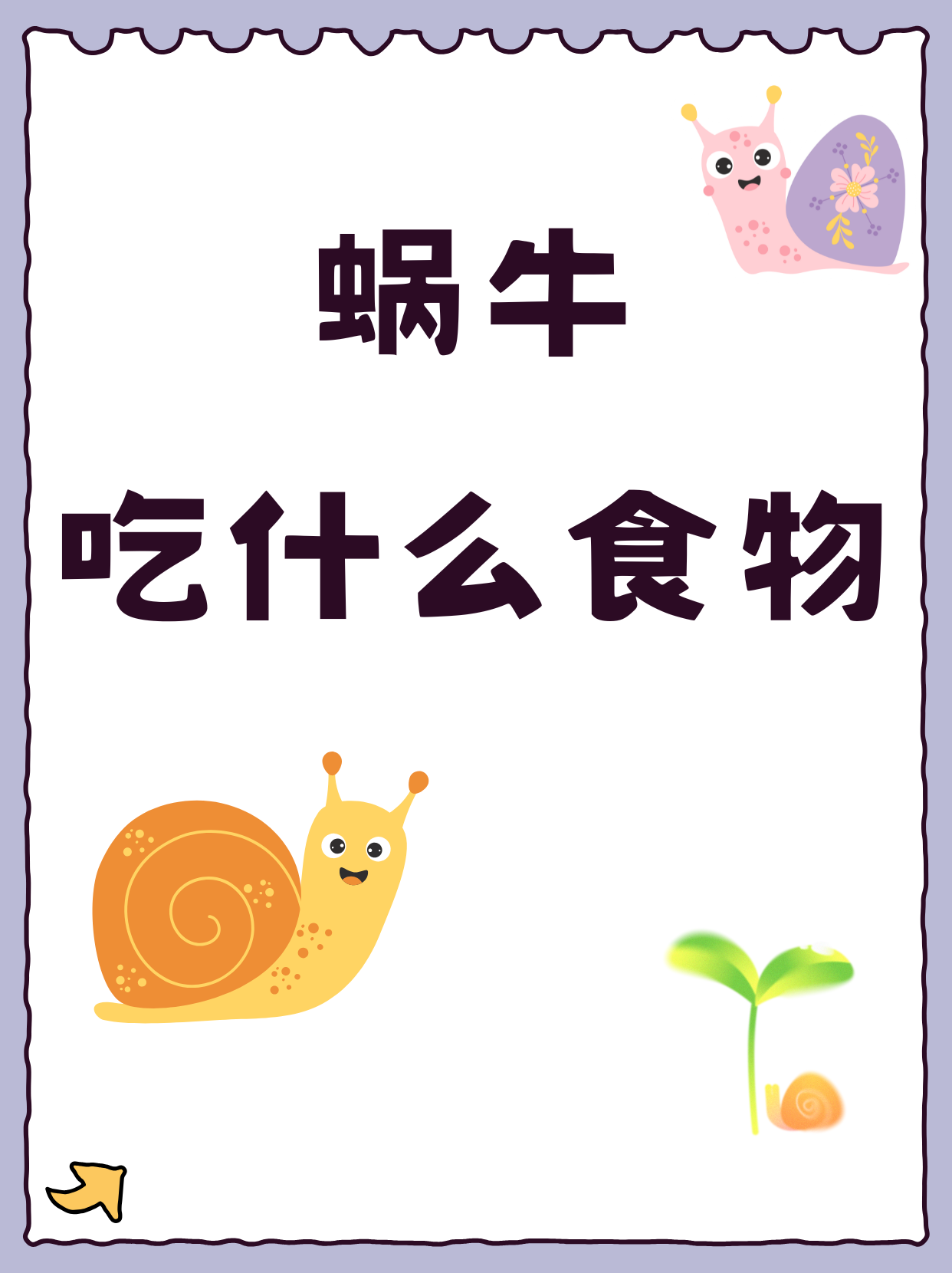 旅行者青蛙蜗牛吃什么,