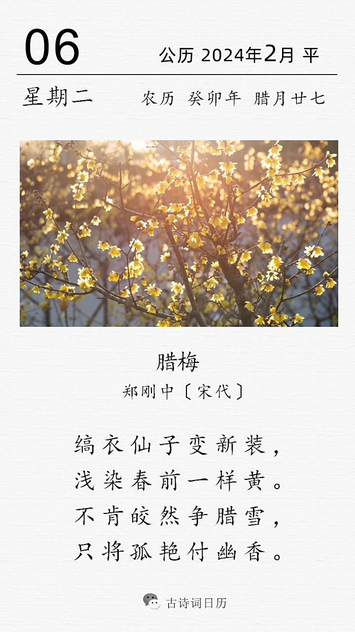 跟梅花有关的诗,跟梅花有关的诗句