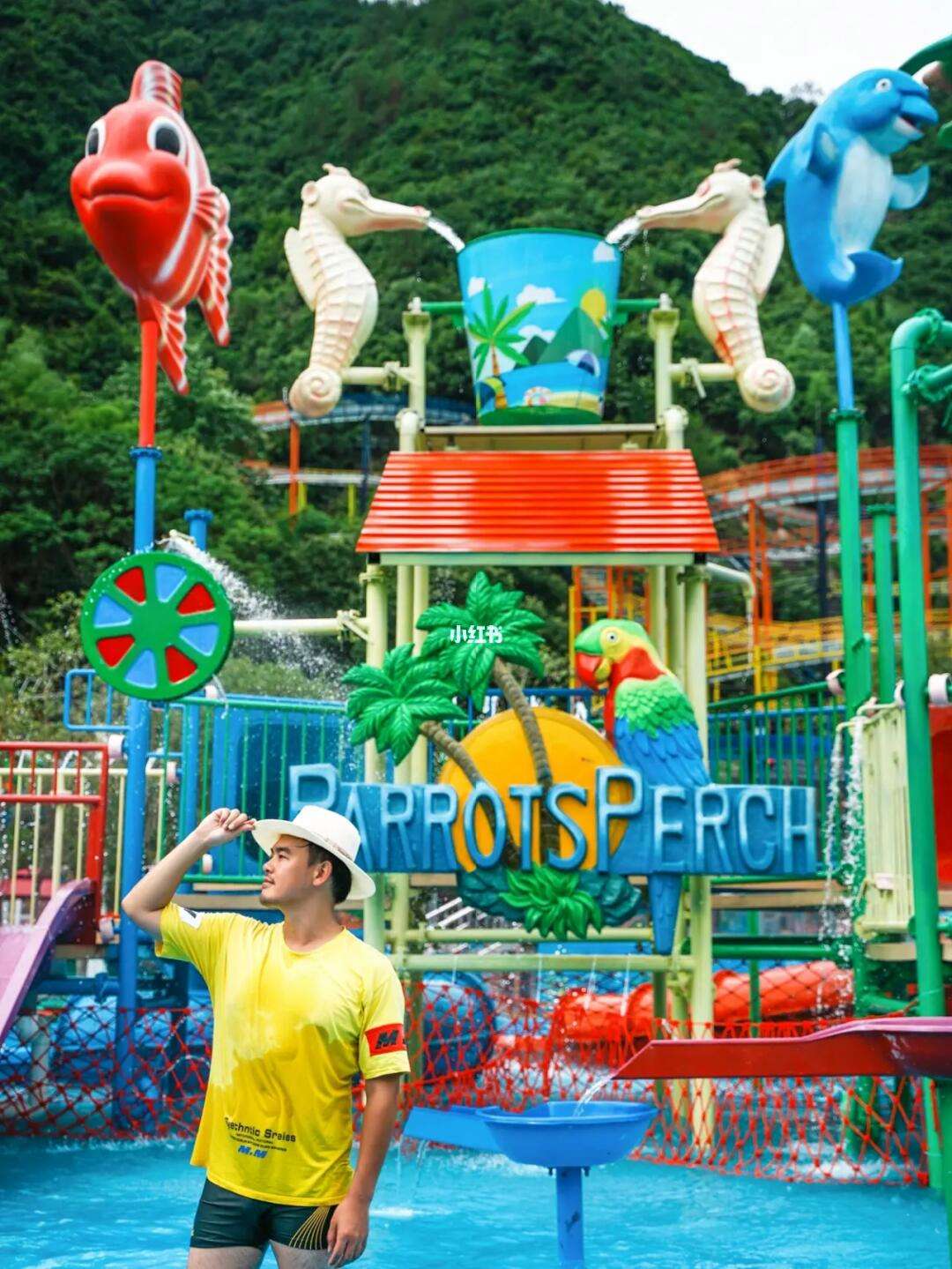 2025年10月 第1386页