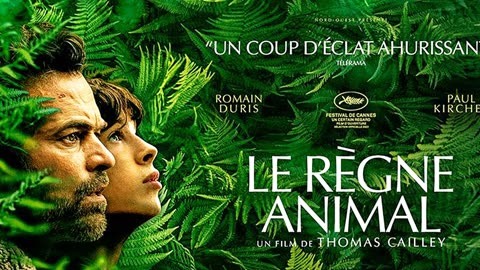 阿里云盘 第32页