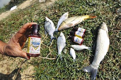 老鼠药能吃死人吗,老鼠药老鼠不吃怎么办