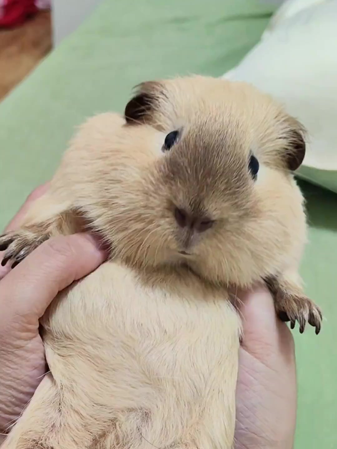 网易云音乐 第33页