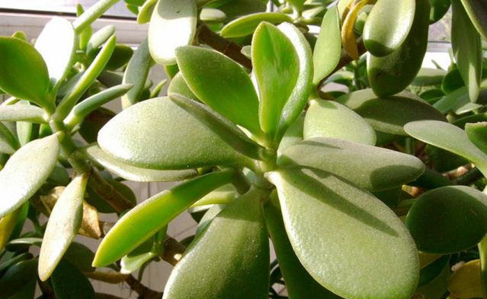 2025年10月 第1346页