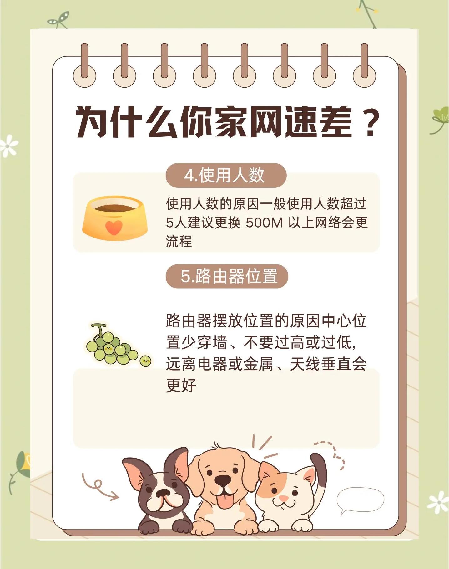 怎样加快网速,网络太慢怎样加快网速