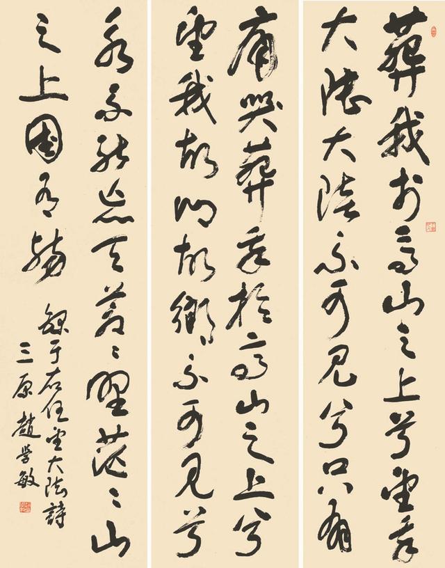 望大陆含义,望大陆作者的遗愿是什么