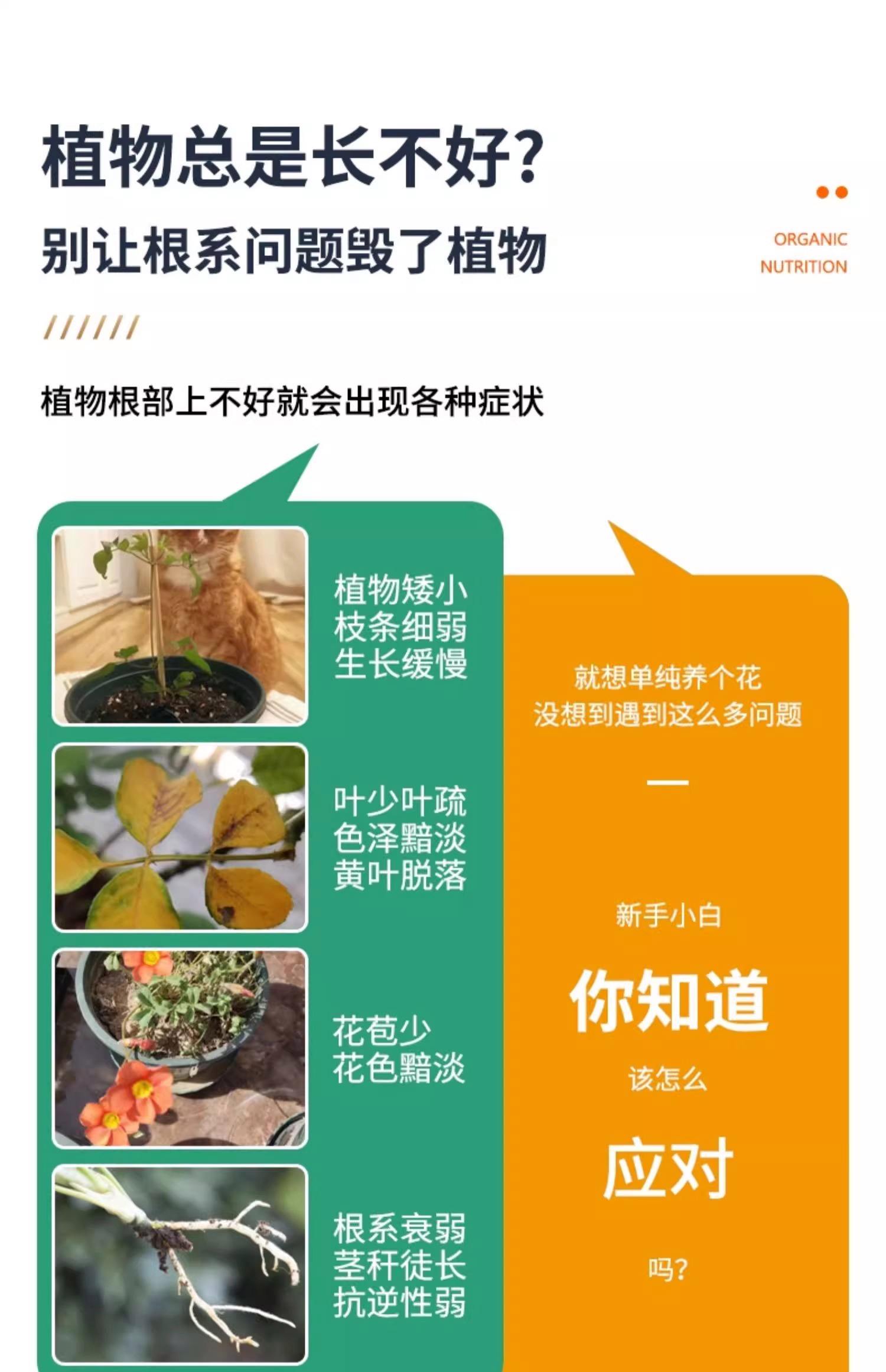 生根粉用多了烧根吗,生根粉用多了烧根吗有毒吗