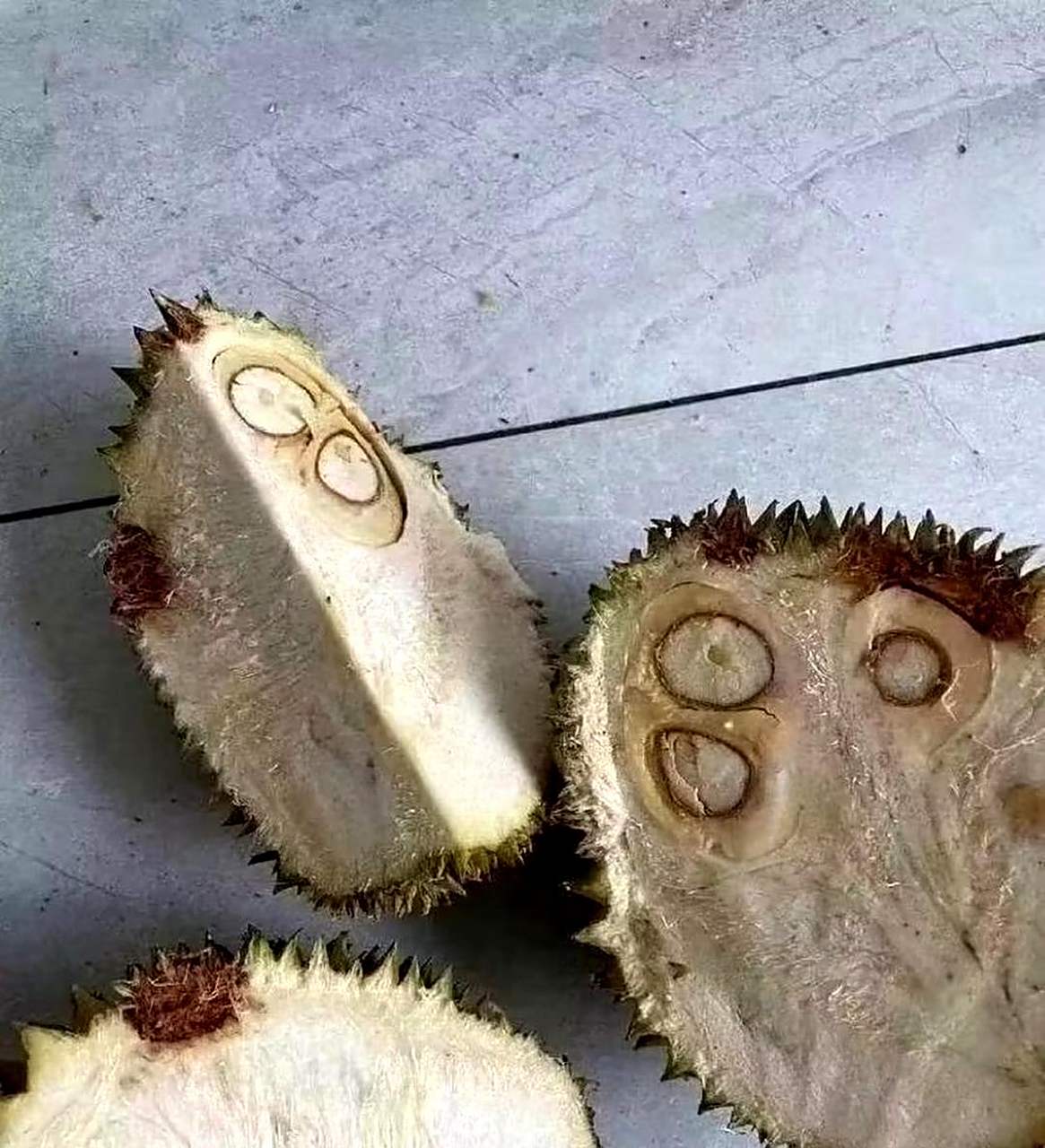 榴莲没开口能吃吗,榴莲没开口能吃吗图片