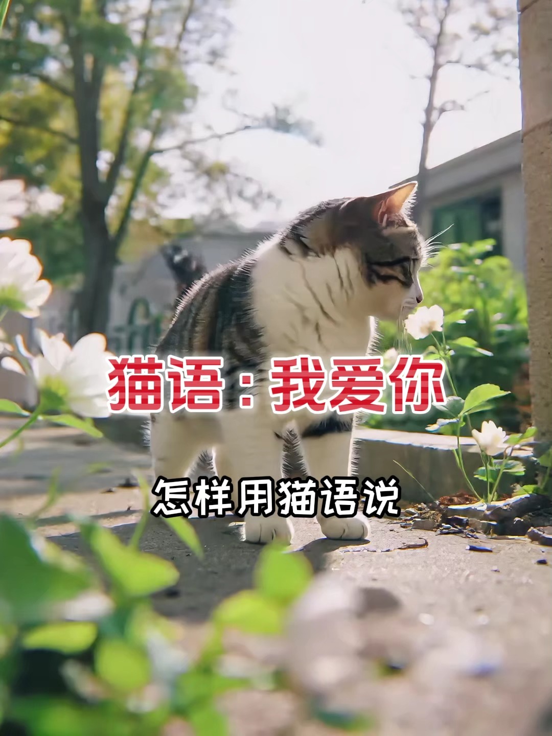 我爱你用粤语怎么说?,我爱你用粤语怎么说百度翻译