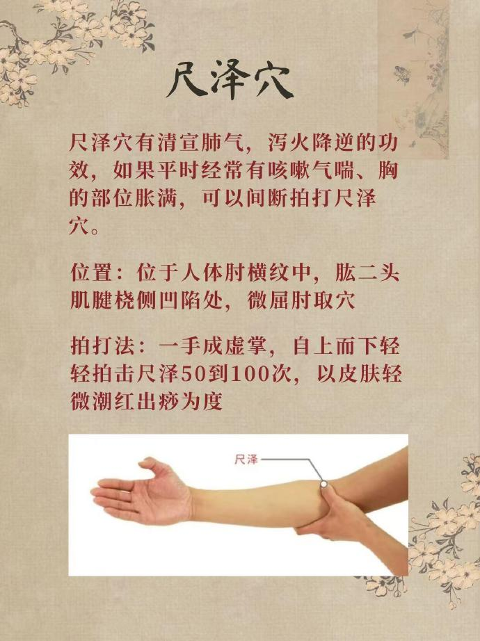 尺泽穴的位置和功效,尺泽穴的位置和作用视频