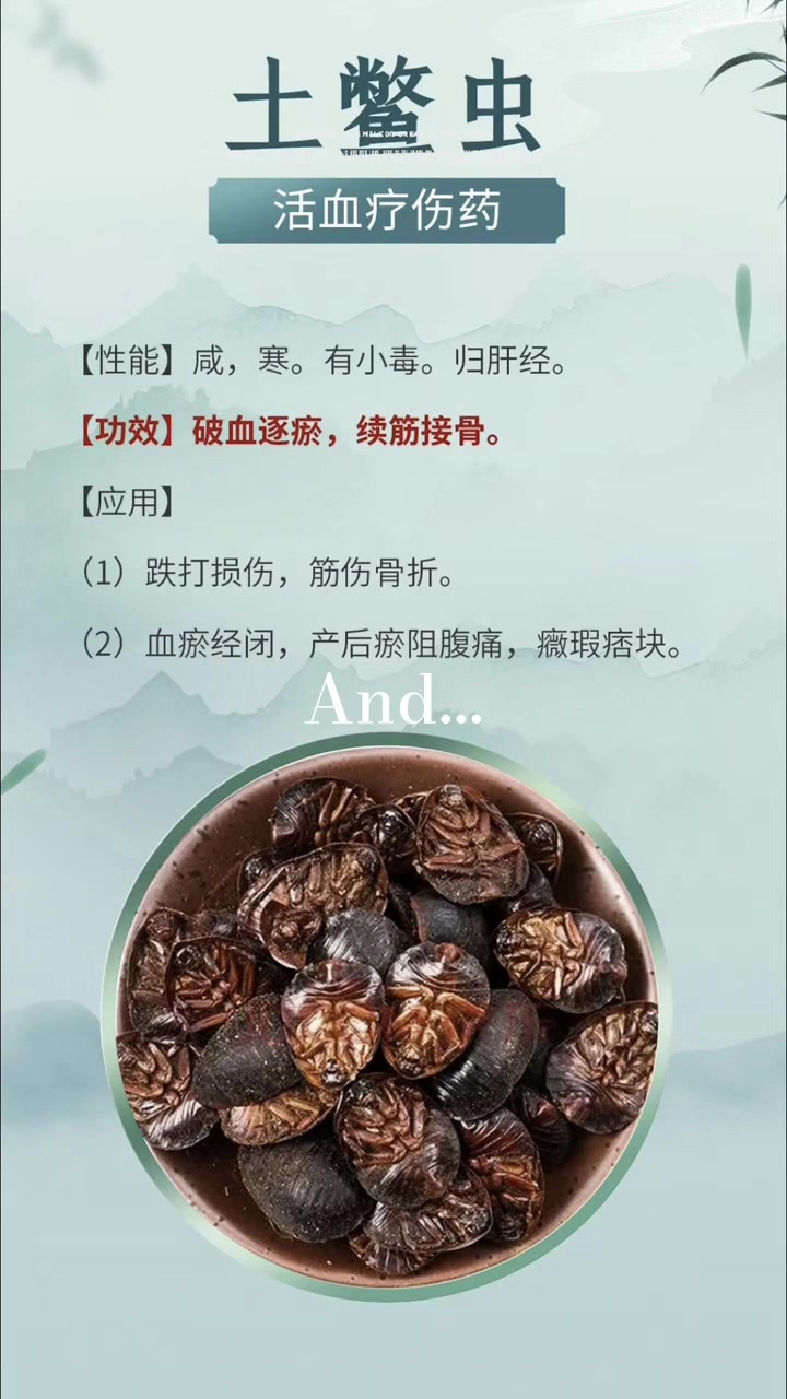 吃土鳖虫有什么危害土鳖虫怎么吃效果最好,土鳖虫副作用土鳖虫的毒性有多大?哪些人不能服用
