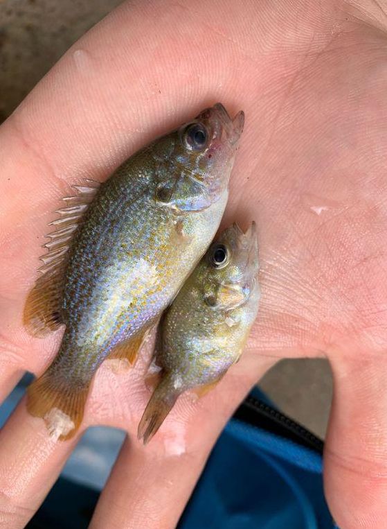 360软件宝库 第32页