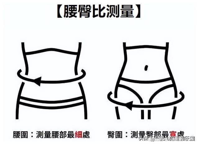 臀围标准是多少,臀围标准是多少mm