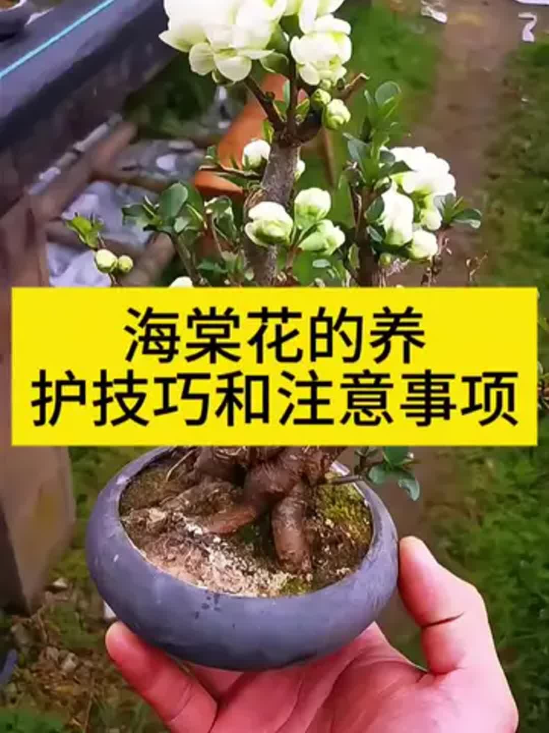 2025年10月4日 第49页