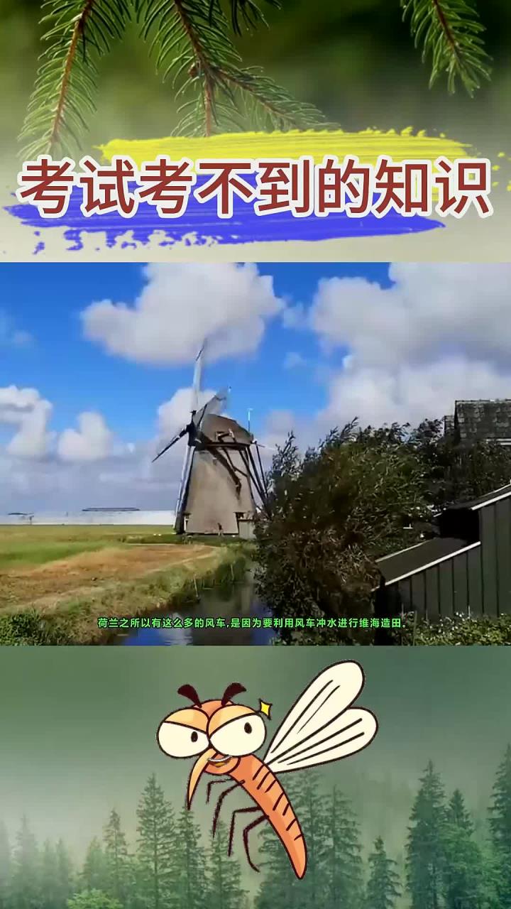 风车之国的风车用途介绍,风车之国的风车用途介绍怎么写