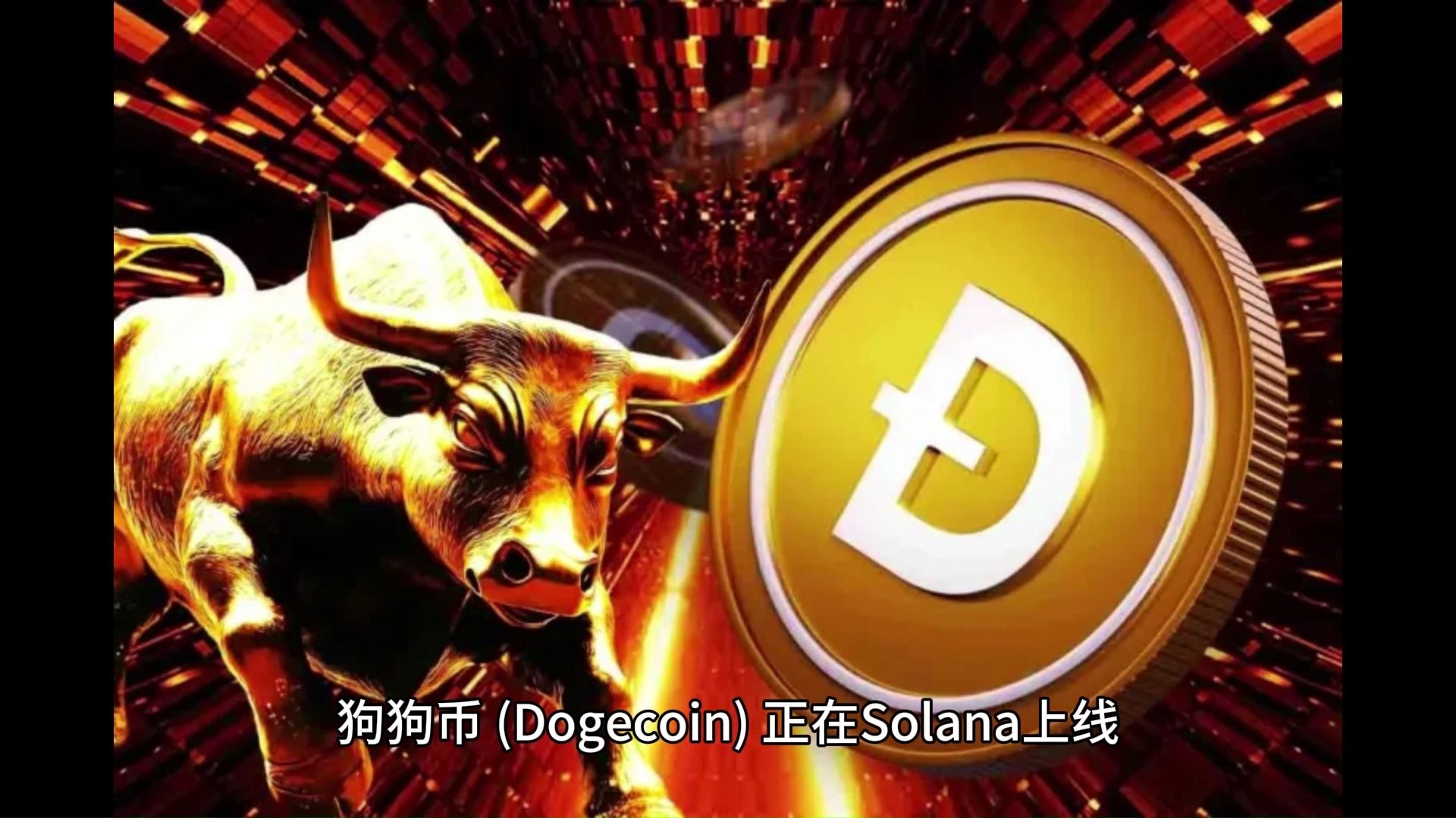 DOG是什么币,doge是什么币