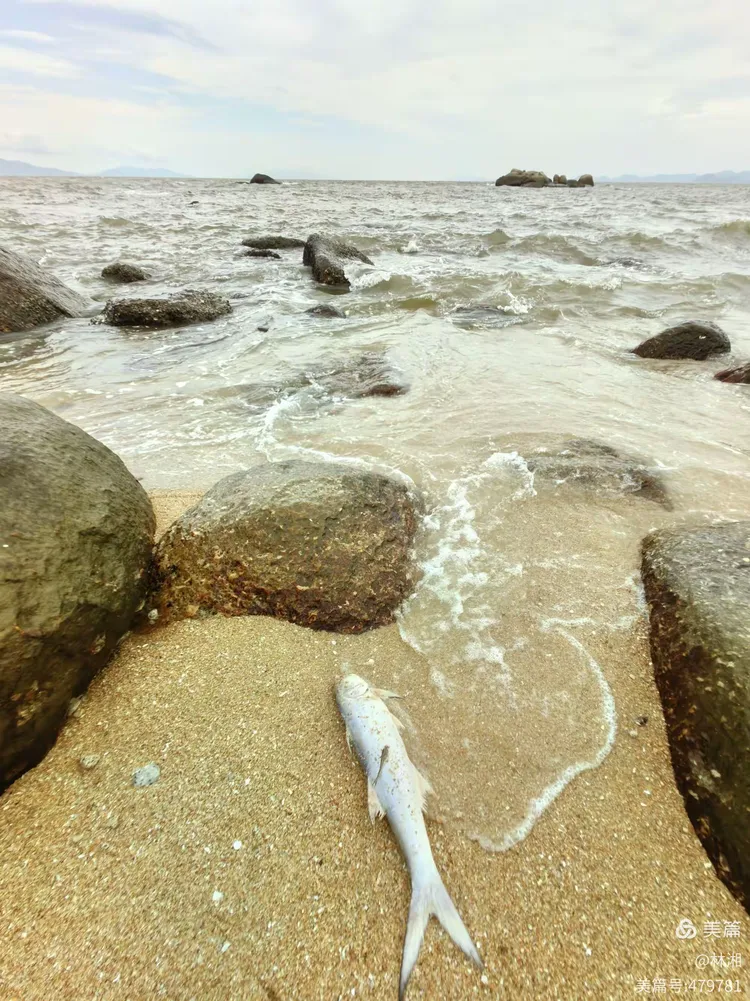 台山大浪湾的海拔是多少米,台山大浪湾的海拔是多少米高