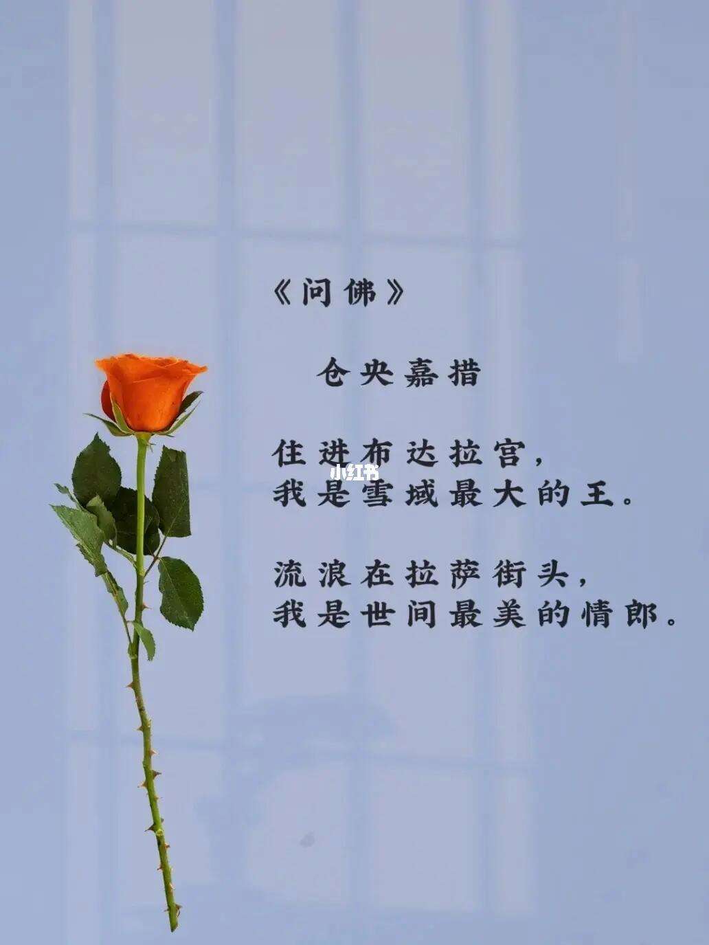 仓央嘉措最美的诗句语录,