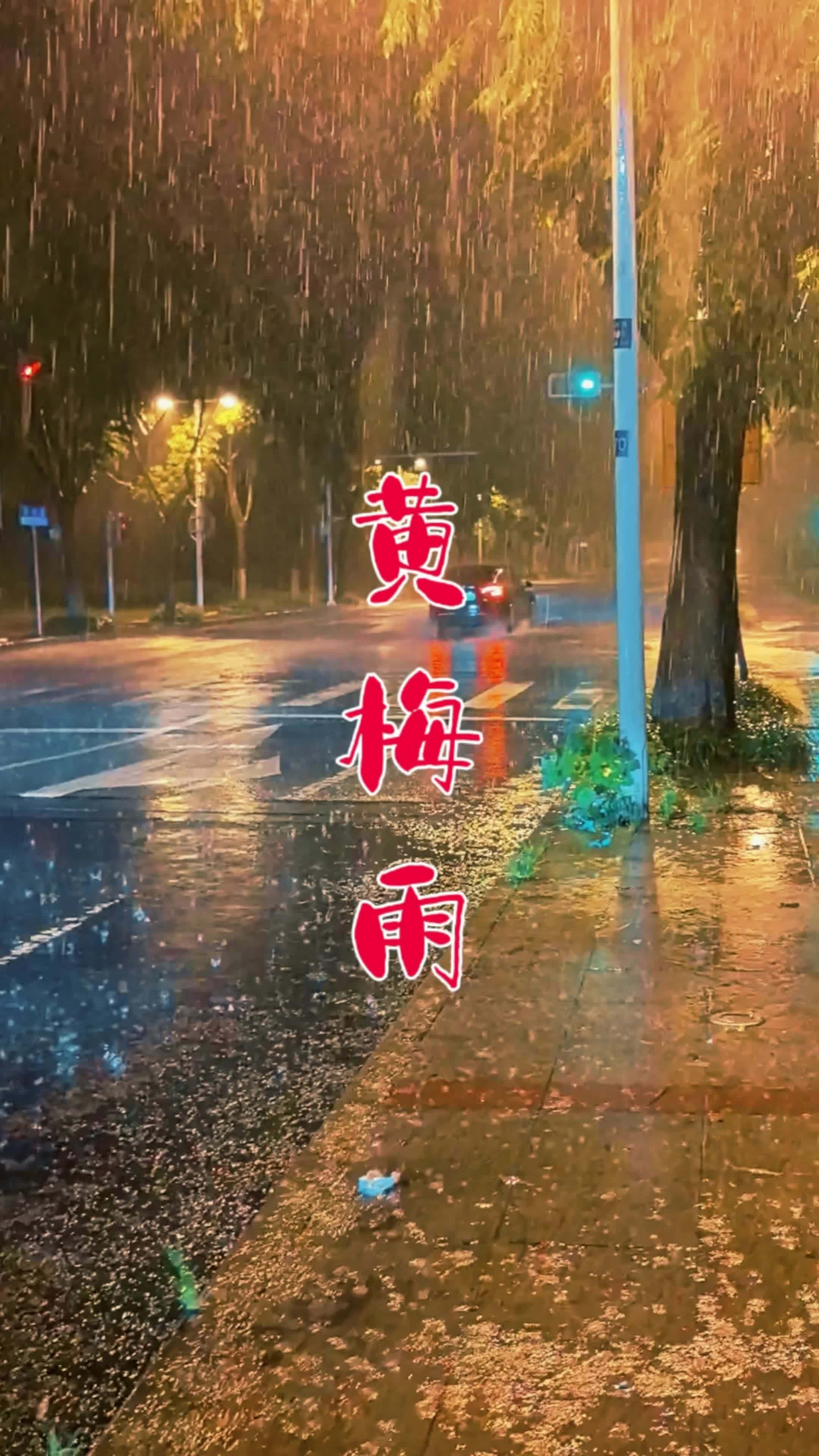 黄梅时节家家雨的意思,黄梅时节家家雨的下一句和作者