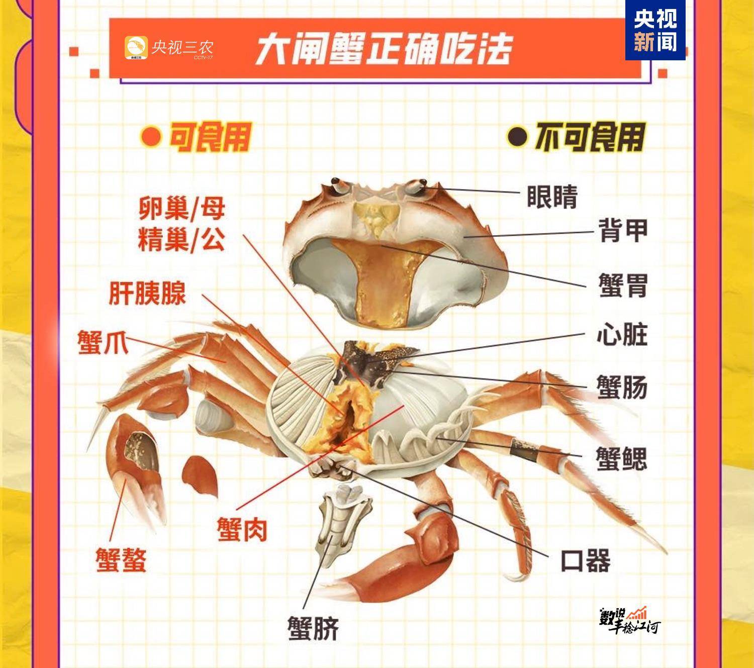 螃蟹怎么去壳,螃蟹如何去壳