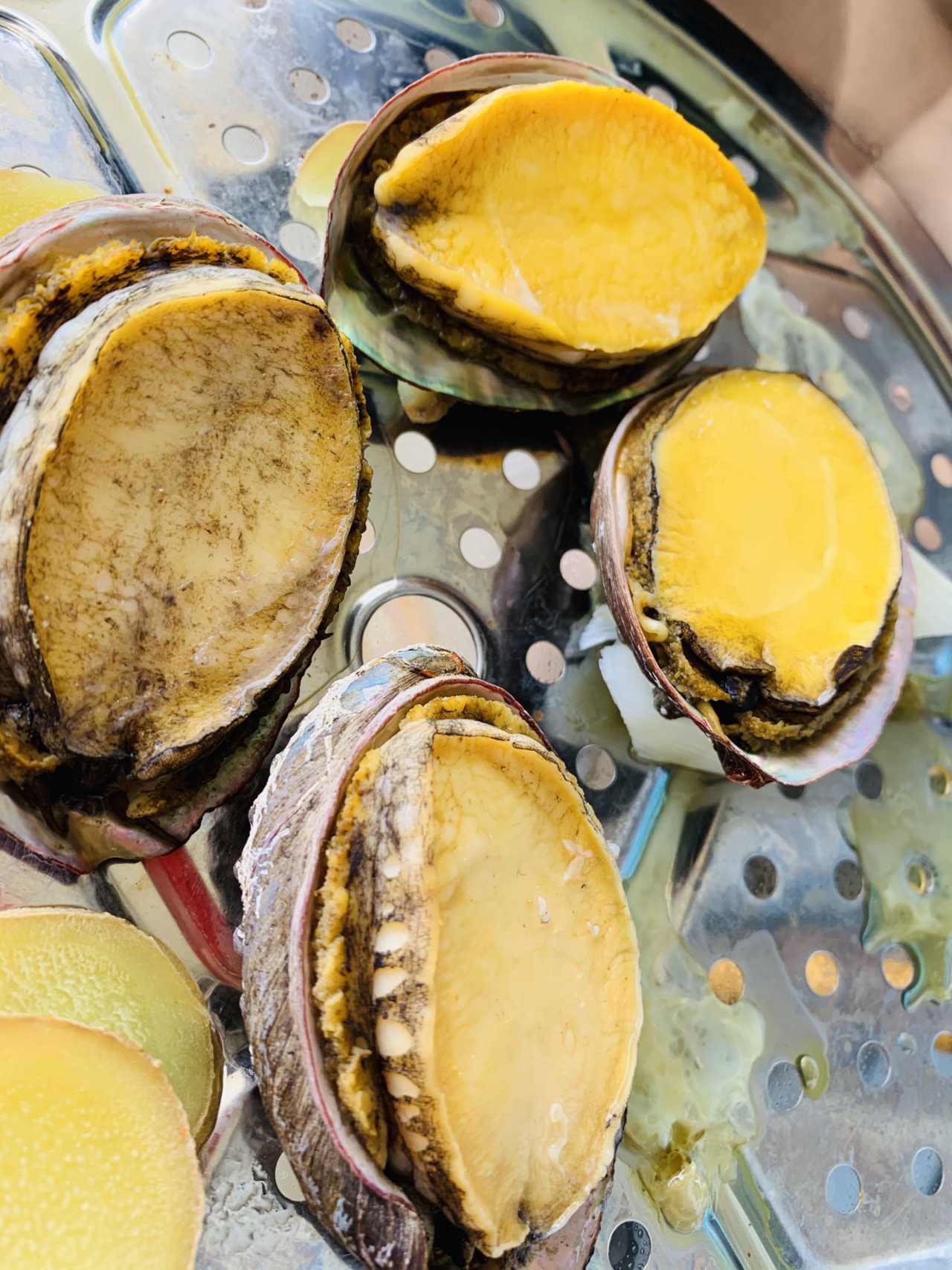 挖沙马什么时候去,