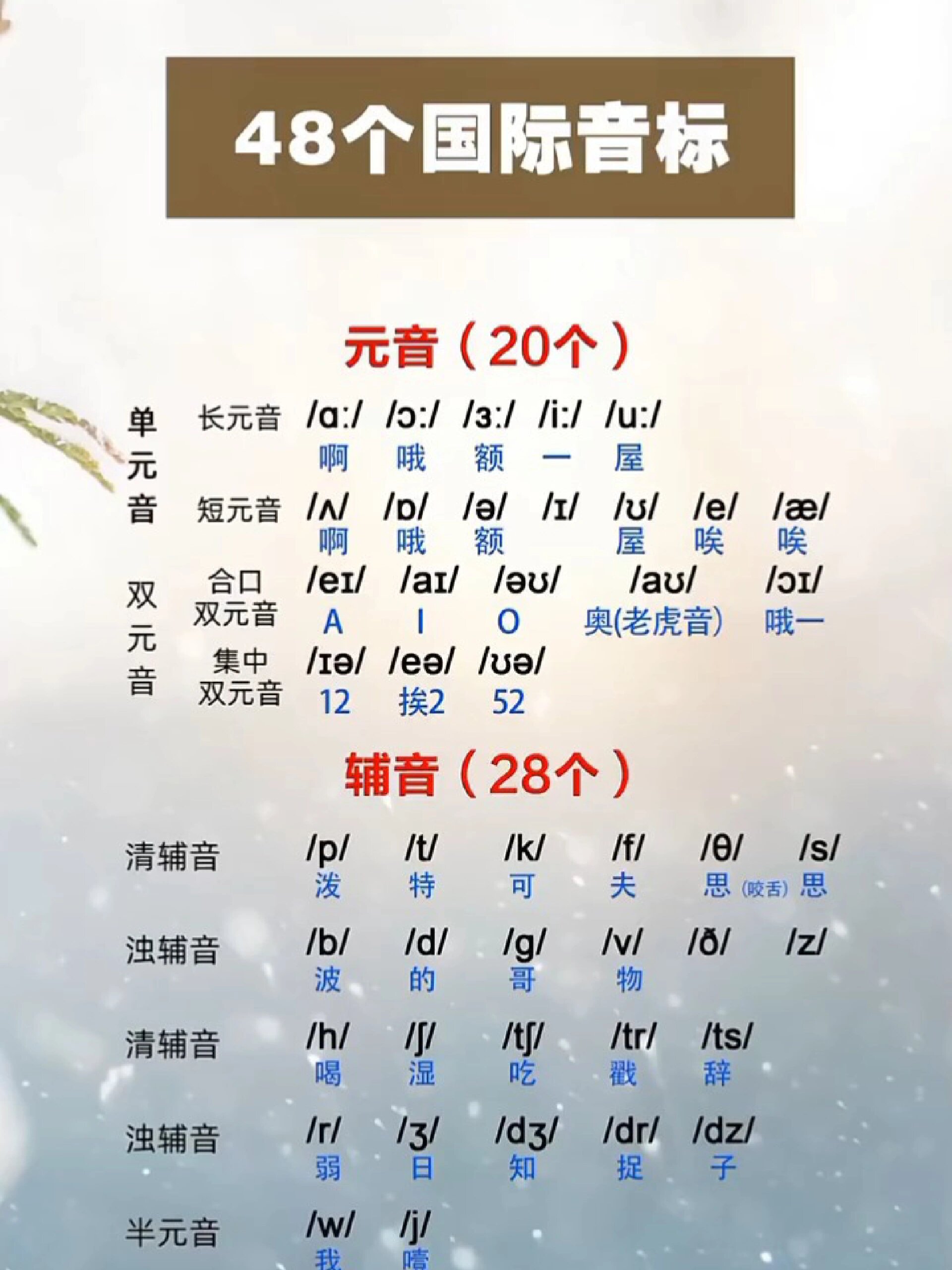 英语音标入门教程,英语的音标入门教程