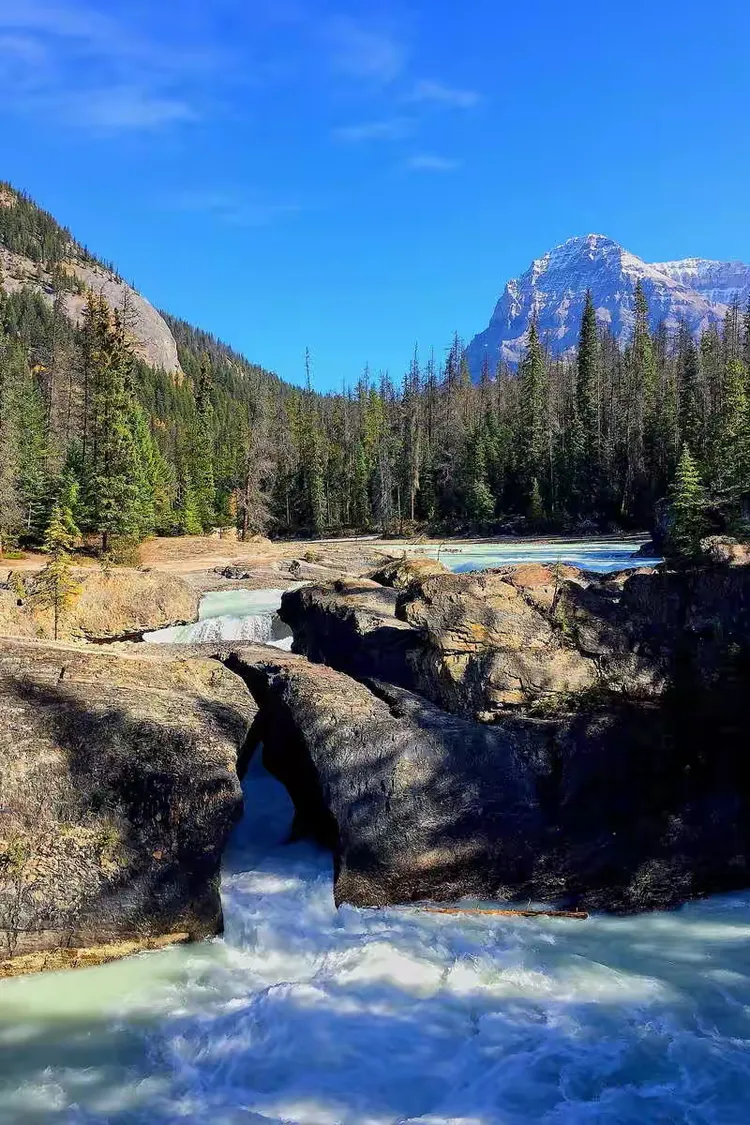奇丽的意思是什么,奇丽的意思是什么?