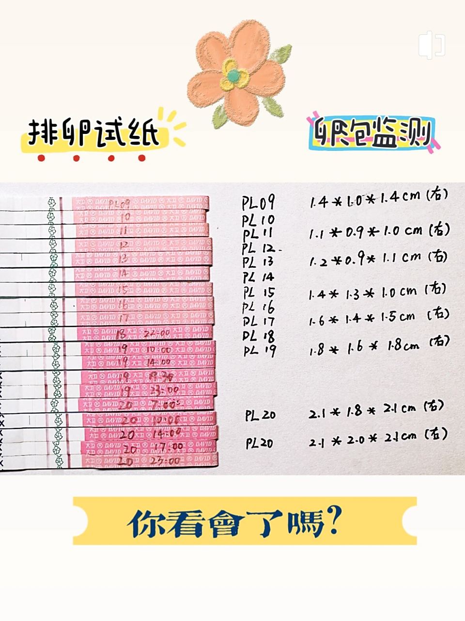 大卫检测条怎么看,大卫检测线比对照线图