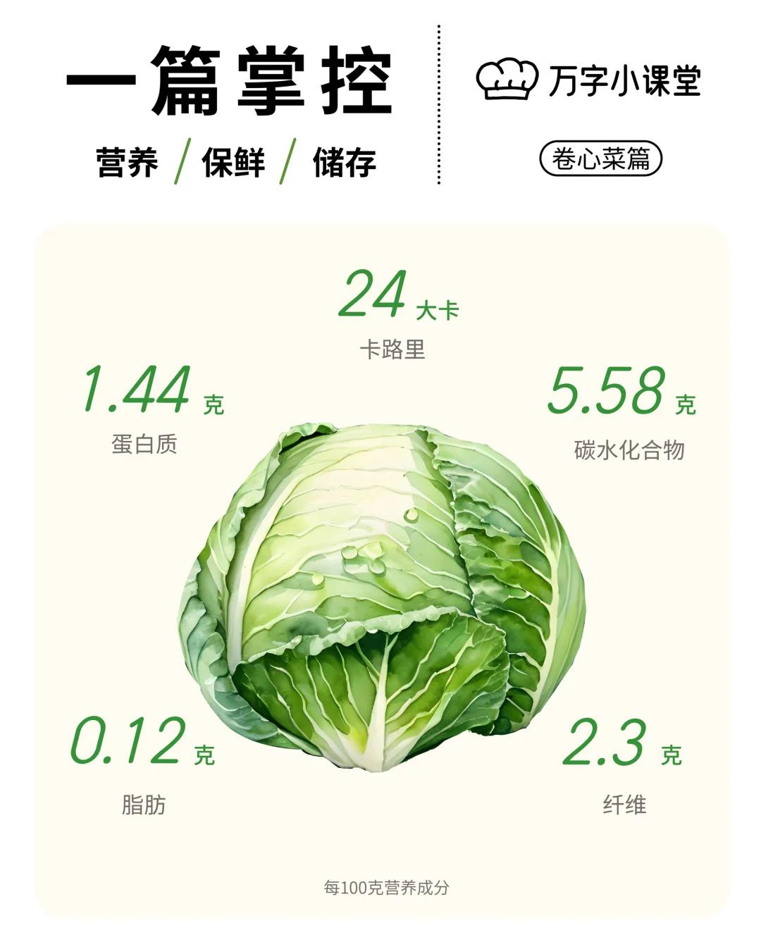卷心菜英语怎么读,卷心菜英语怎么读onion