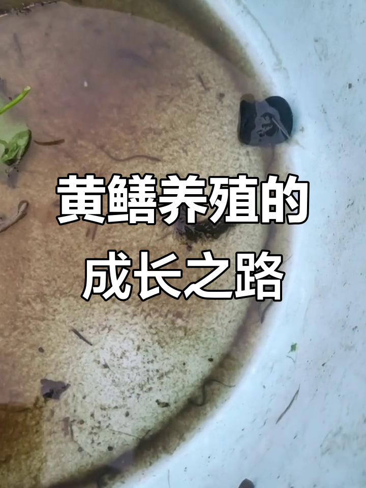 中搜行业中国 第30页