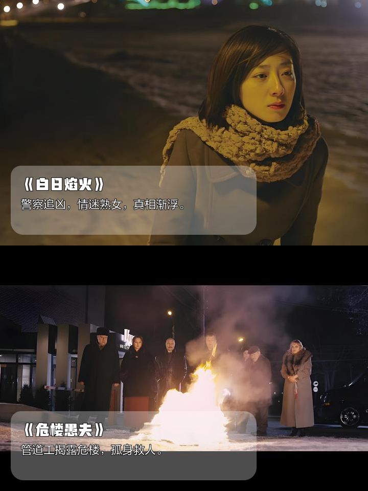 白日焰火真相是什么,白日焰火是真实案件吗