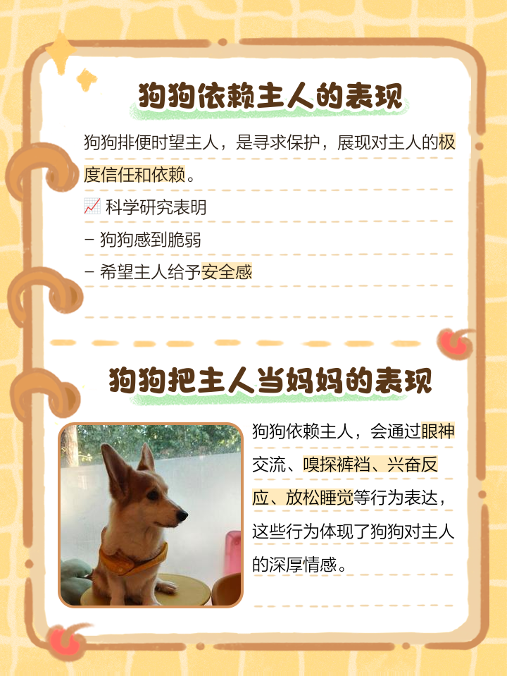 梦到狗拉屎预示着什么,梦到狗拉屎预示着什么预兆