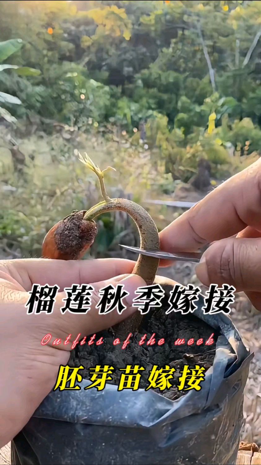 2025年10月7日 第62页