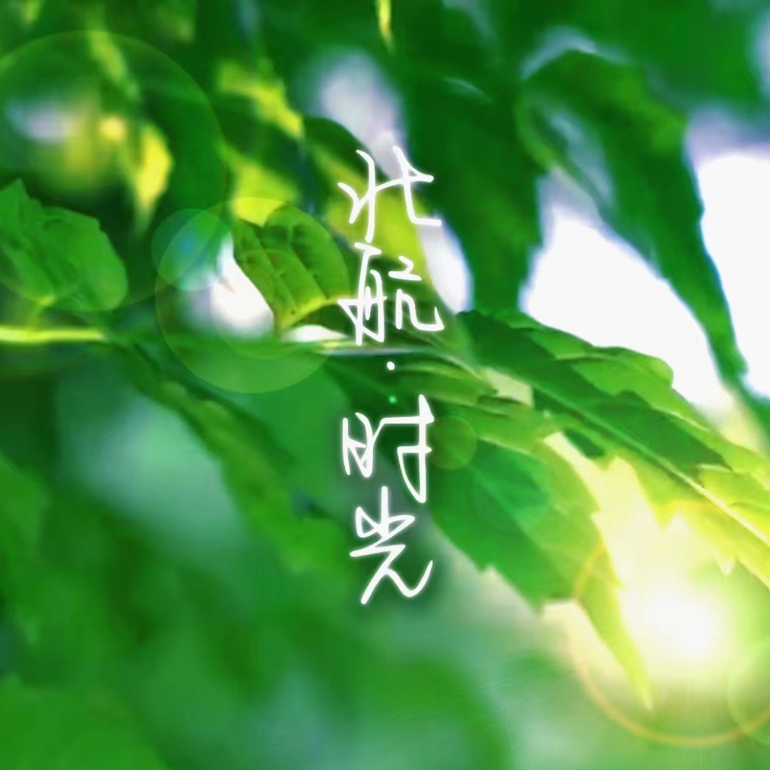 绿色这首歌完整的歌词,绿色这首歌完整的歌词是什么