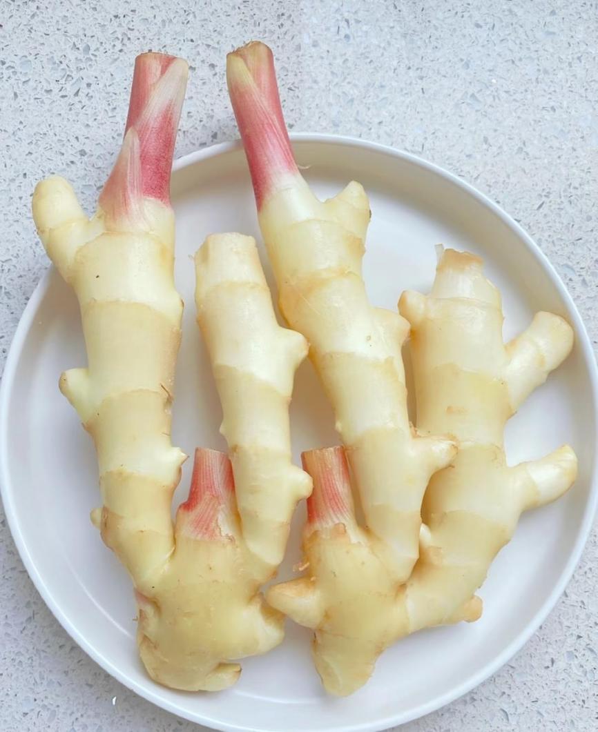 游民星空 第27页