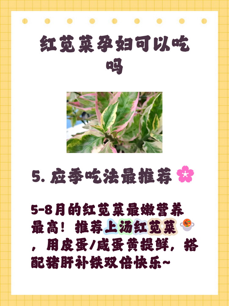 红苋菜的功效与作用吃法,红苋菜的功效和作用,哪些人不适宜吃