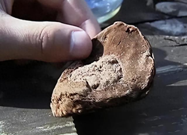 阿魏是什么东西,阿魏是什么东西有什么作用