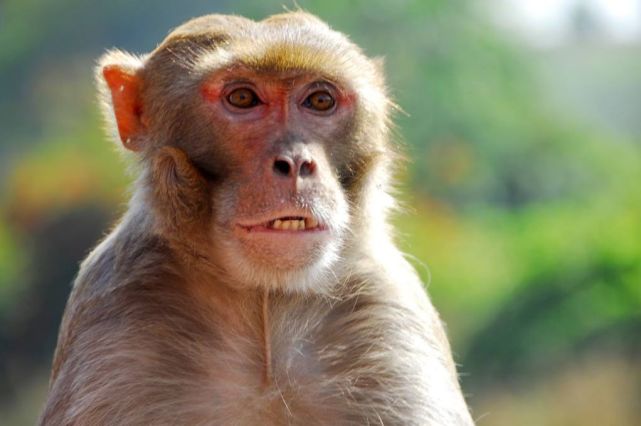 民不聊生什么意思,民不 聊生的聊意思