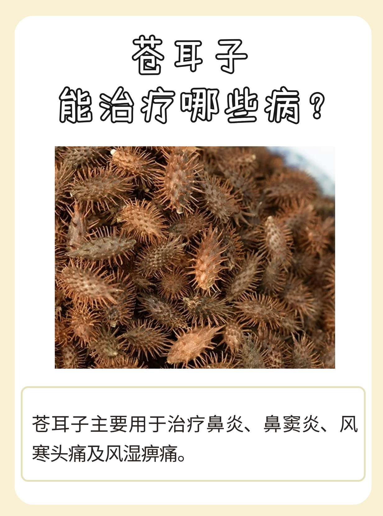 苍耳泡脚有什么作用,苍耳泡脚的功效与作用及禁忌