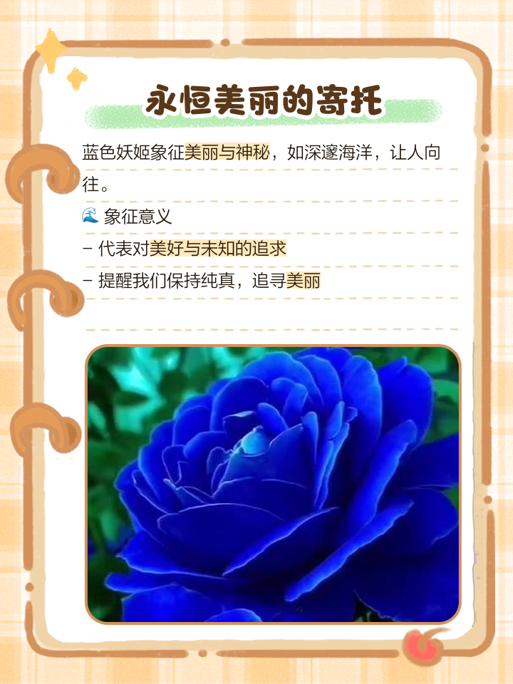 2025年10月8日 第22页