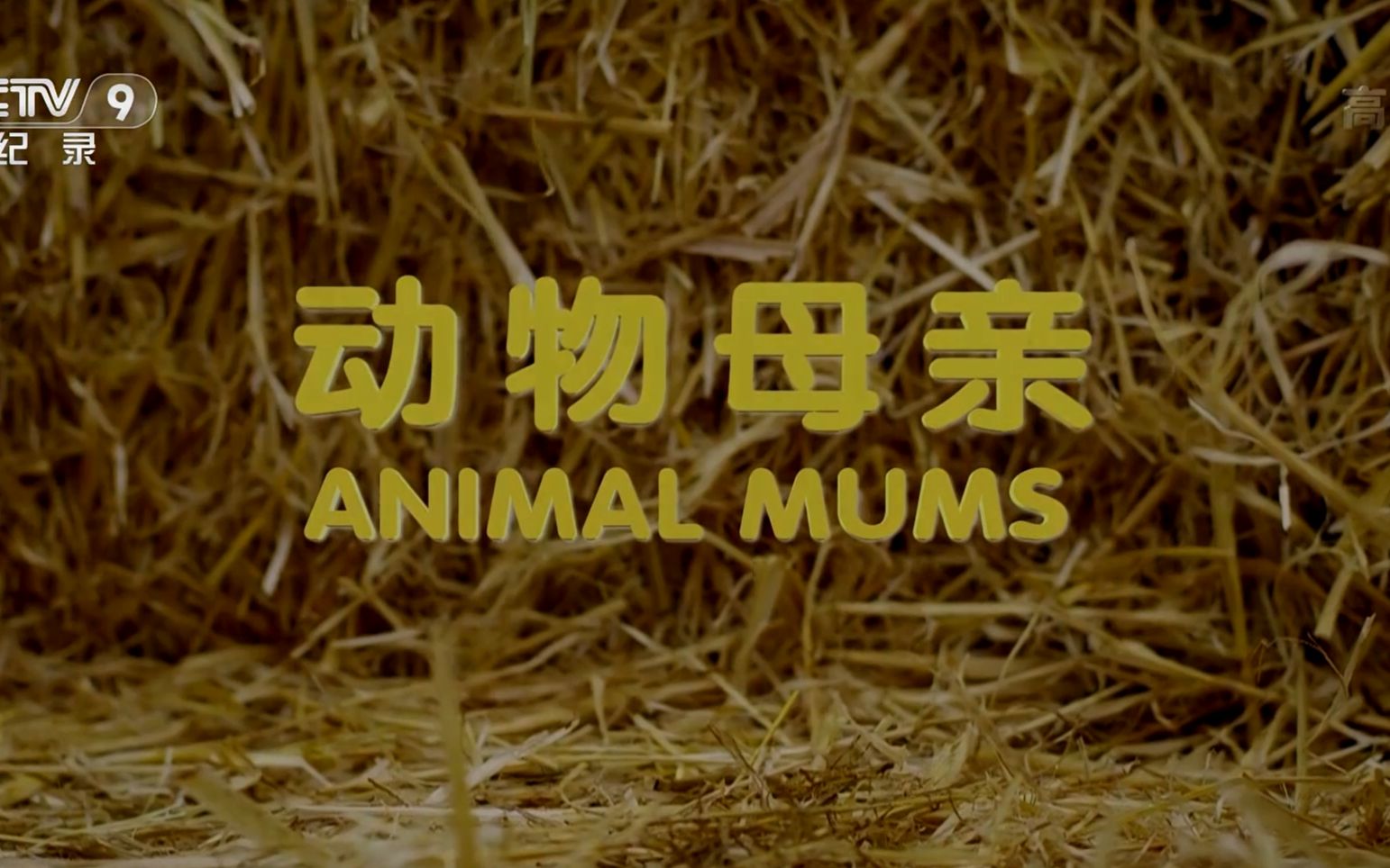 2025年10月8日 第5页