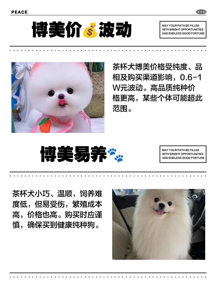 各地博美犬价格,各地博美犬价格一览表