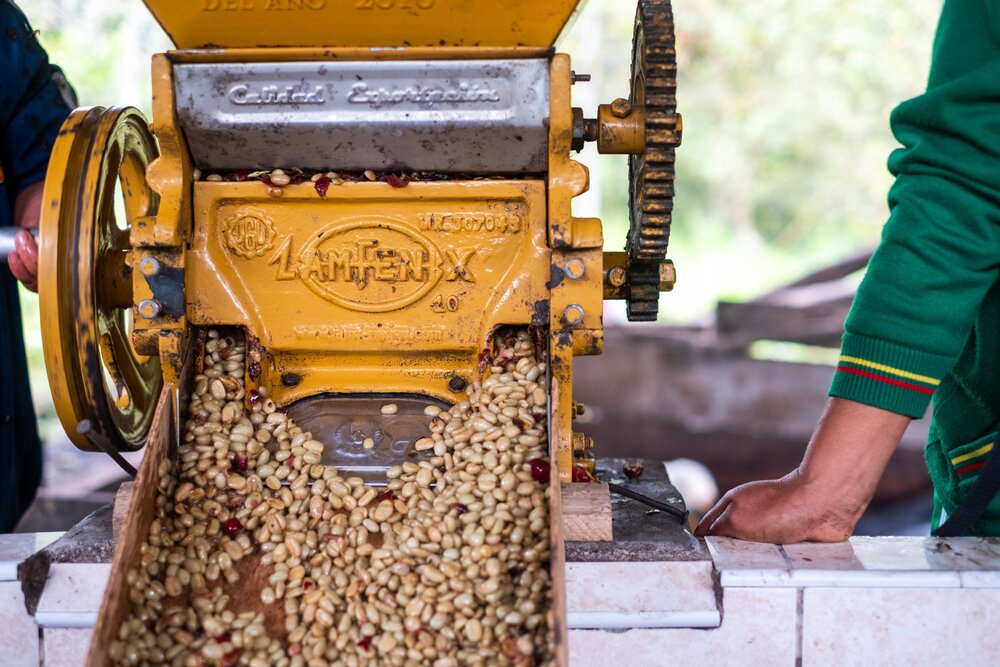 埃塞俄比亚特产是什么,埃塞俄比亚土特产