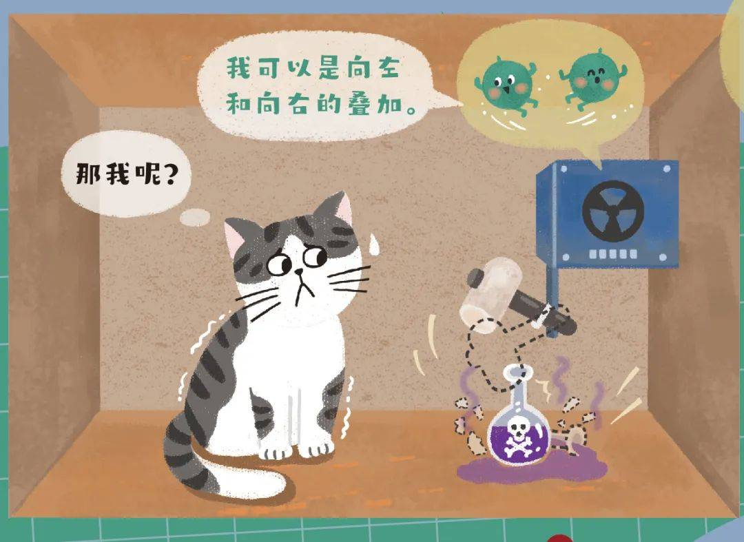 薛定谔是什么梗比喻什么,