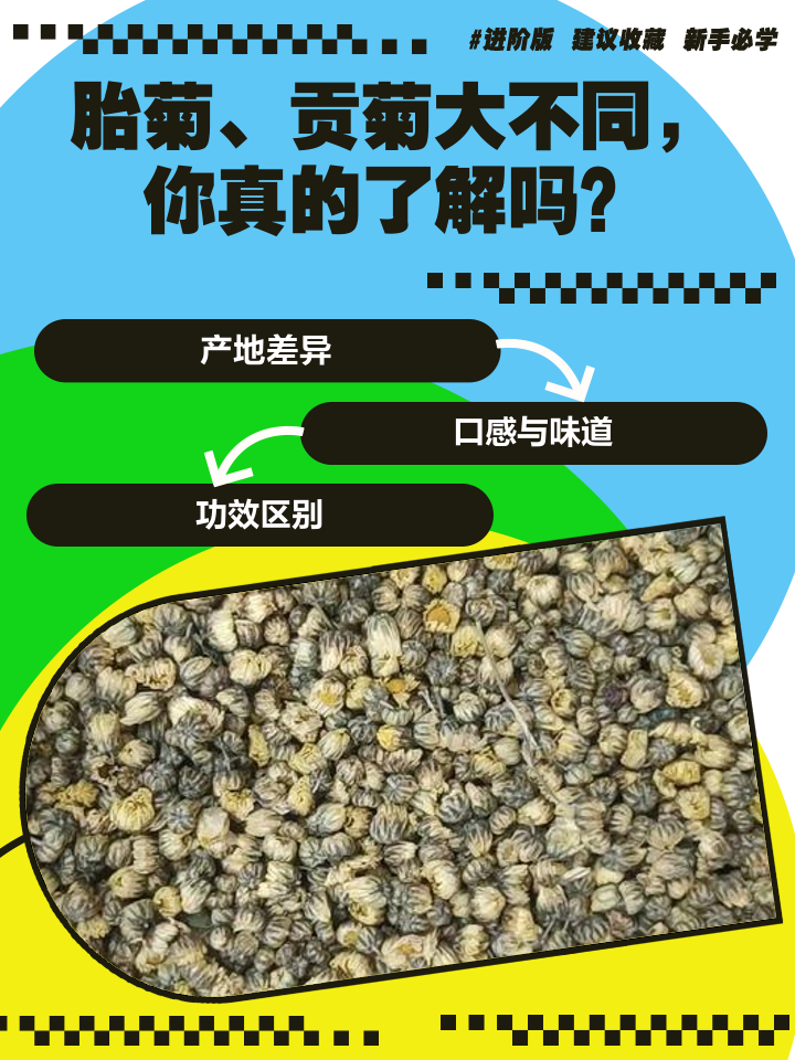 杭菊和胎菊的功效区别,杭菊和胎菊的功效区别是什么